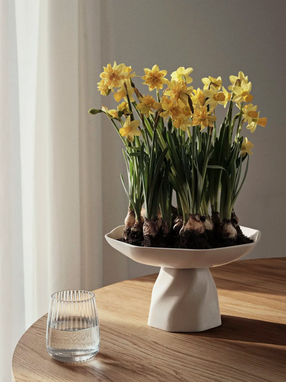 Pedestal Dish