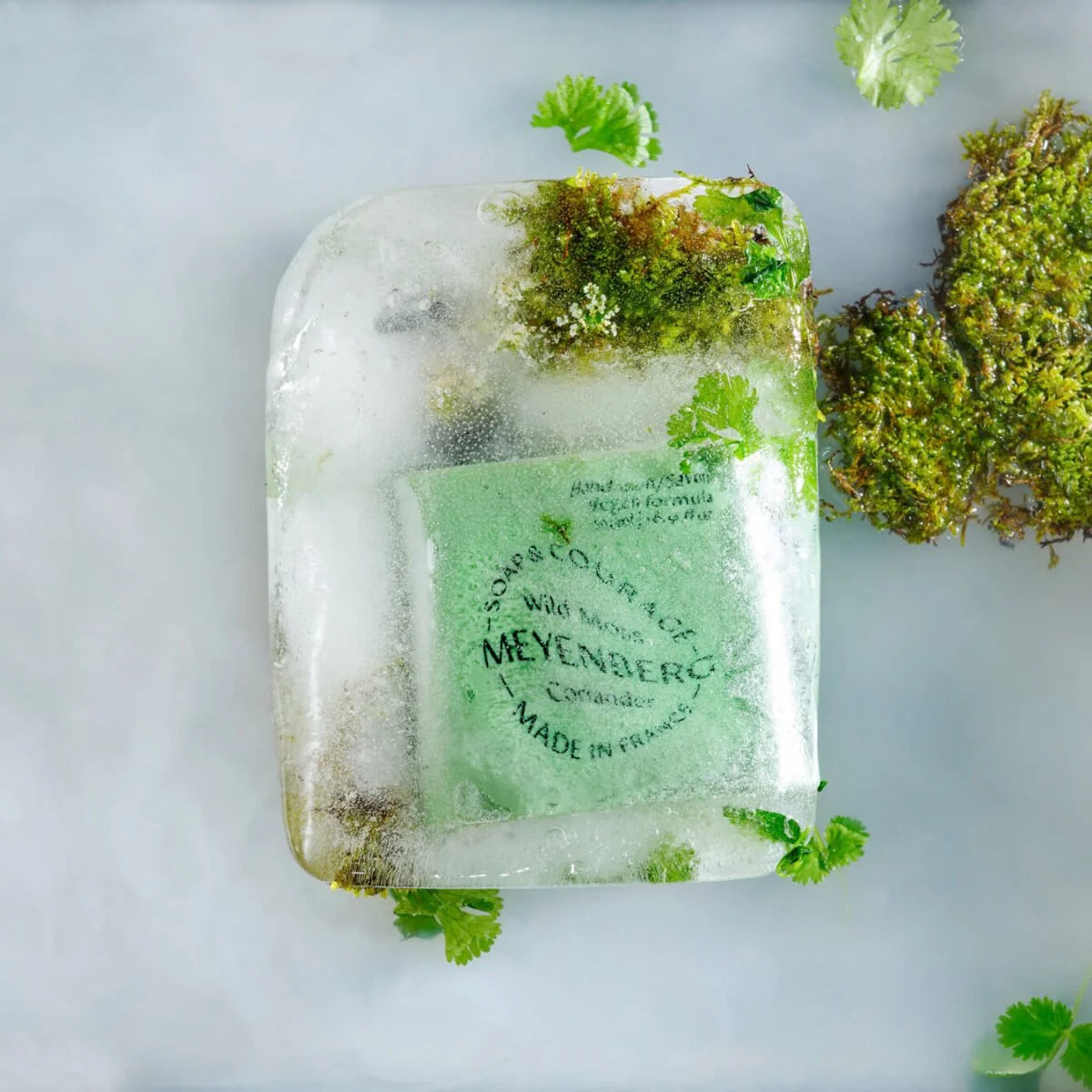 Meyenberg Hand Wash Wild Moss & Coriander
