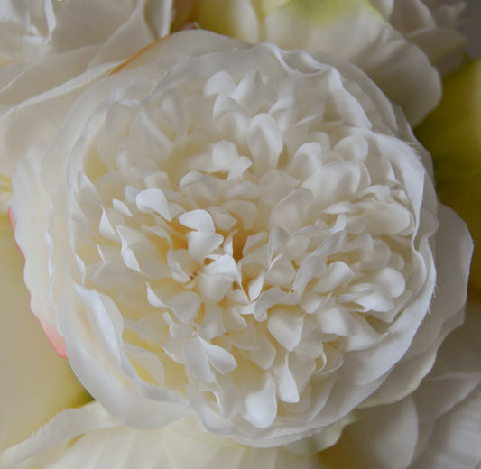 Peony Bouquet White