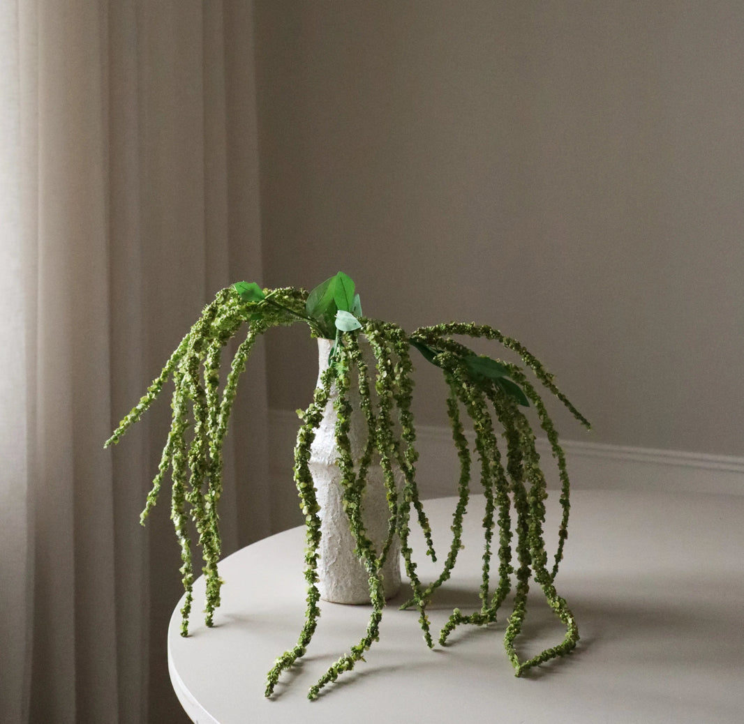 Green Amaranthus Single Flower