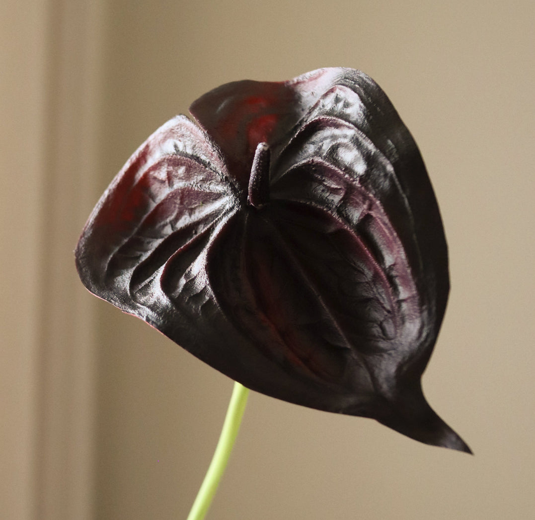 Black Small Anthurium Single Flower