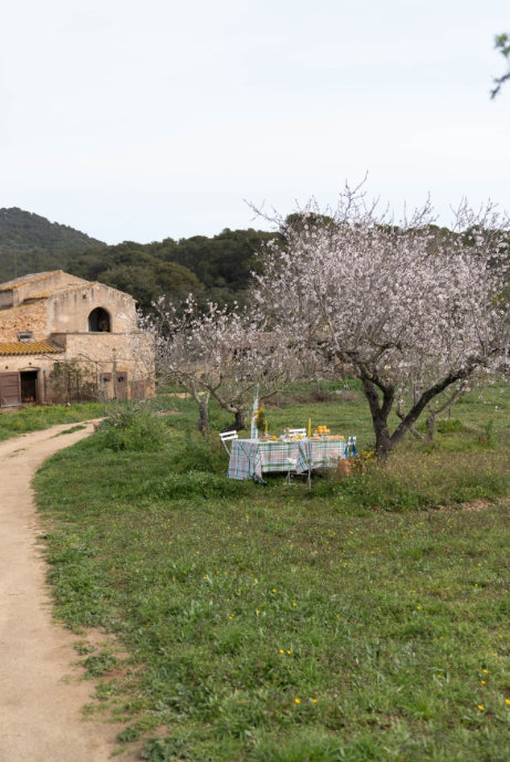 Table Cloth Delvaux Tree