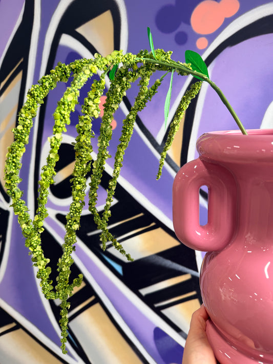 Green Amaranthus Single Flower