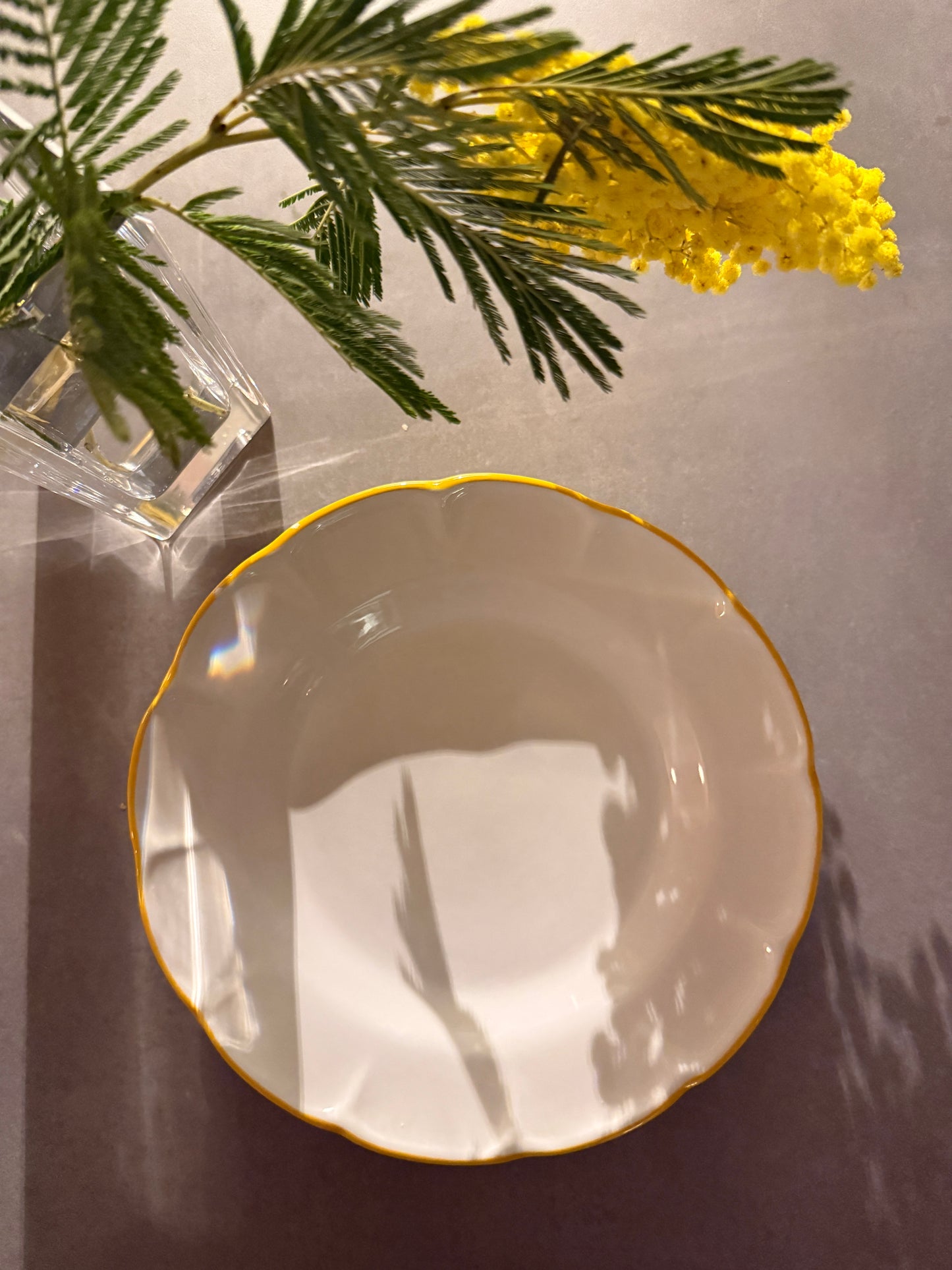 Pasta Plate Yellow Line