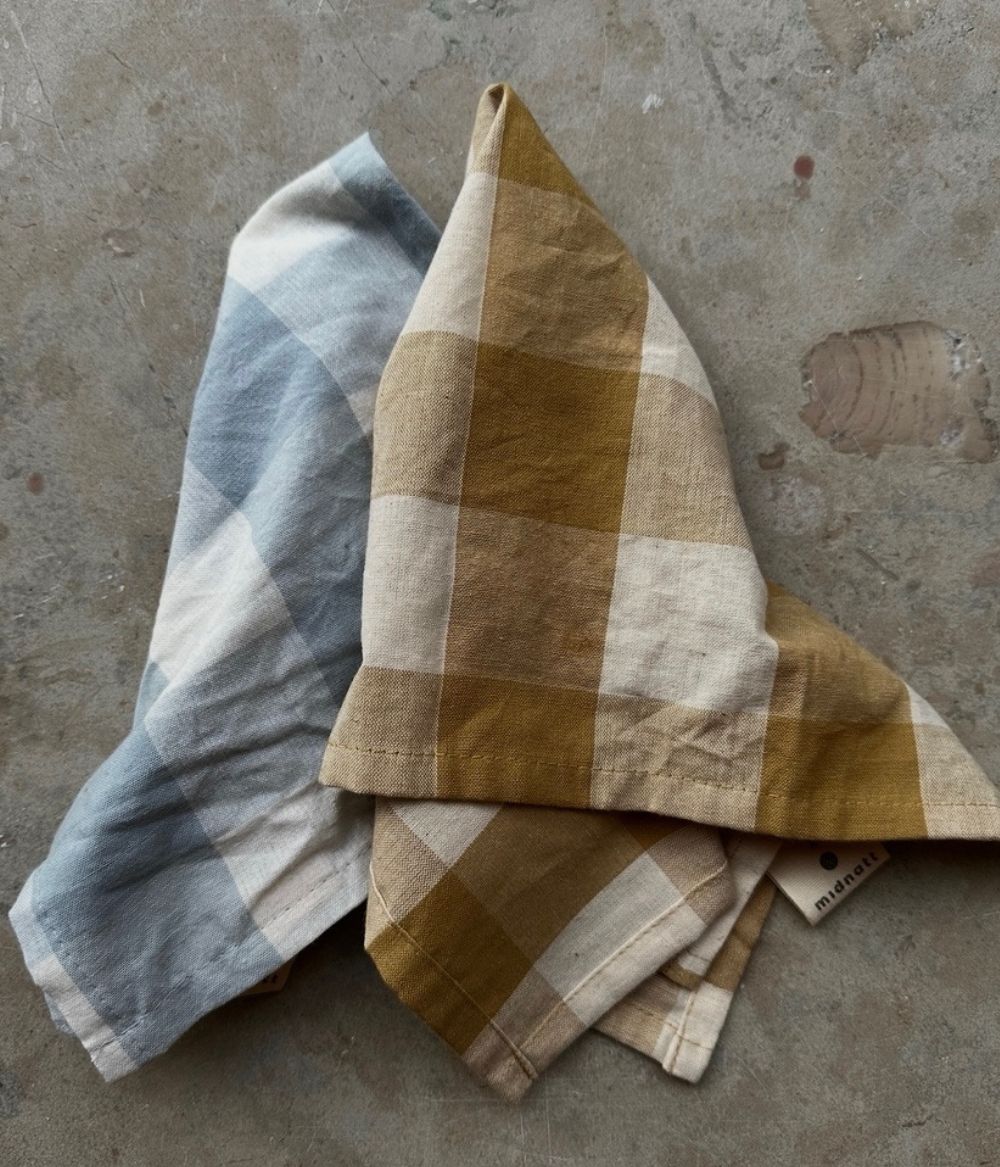 Midnight Napkins Bluey 4-p
