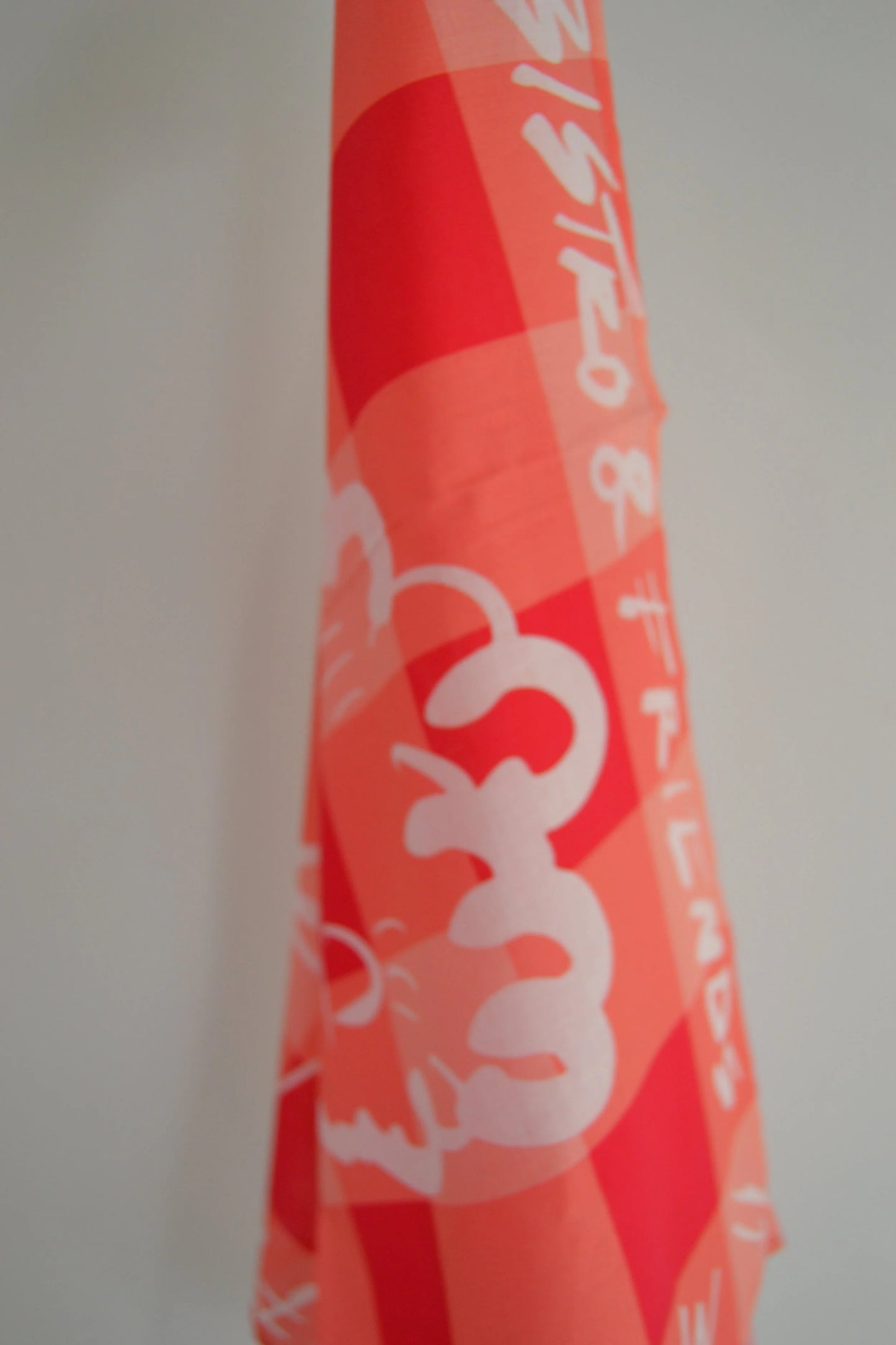 Mon Bistro Taste Scarf