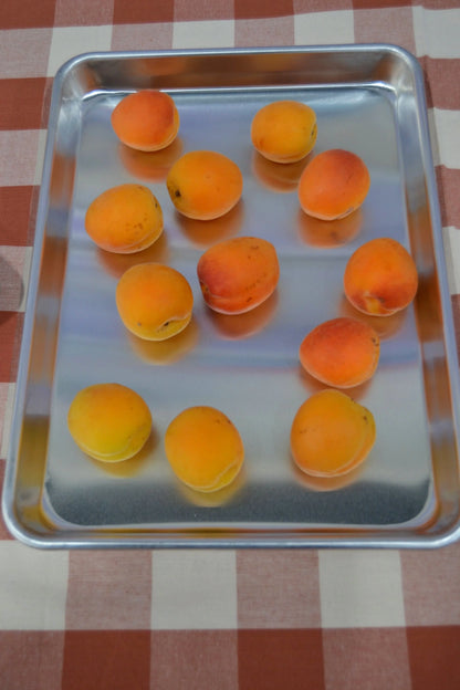 Fast Food Aluminium Tray