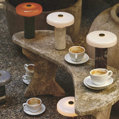 Matkavalaisin, sammal, meripihka