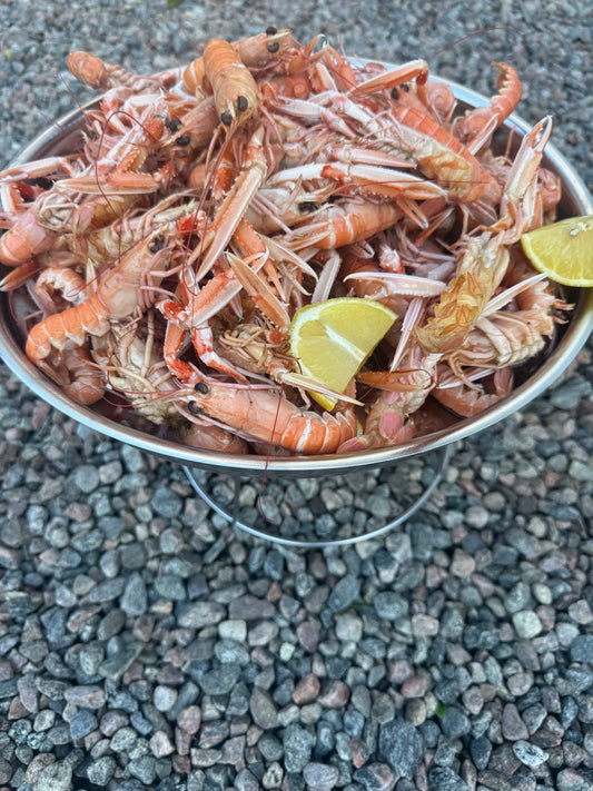 Seafood Platter