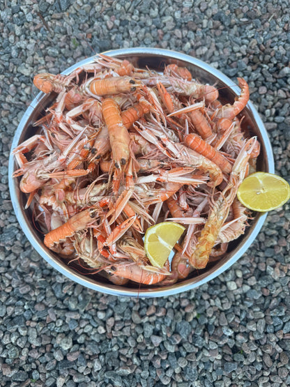 Seafood Platter