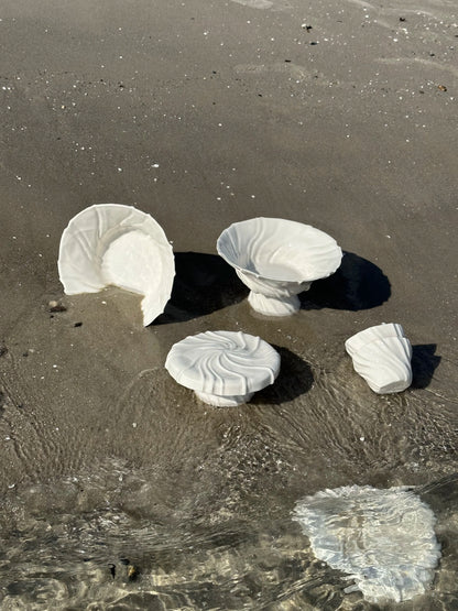 The Tides Plate