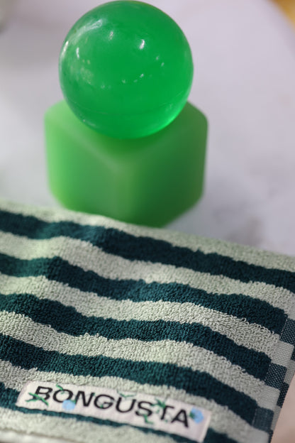 OBA Aloe Vera såpe med harpikskube