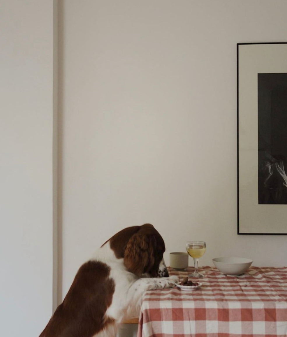 Midnight Table Cloth Bertel
