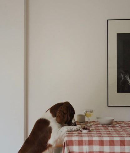 Midnight Table Cloth Bertel