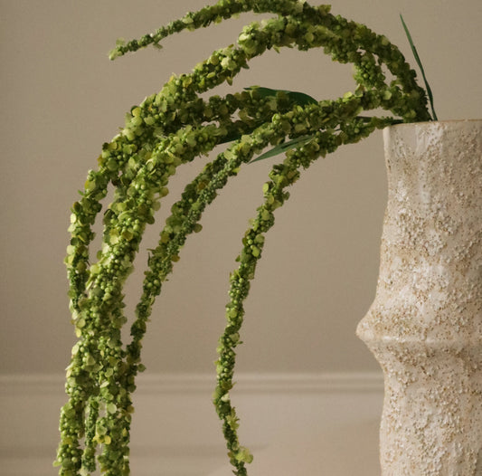 Green Amaranthus Single Flower