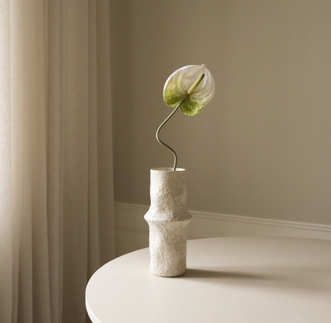 Light Green Anthurium Single Flower