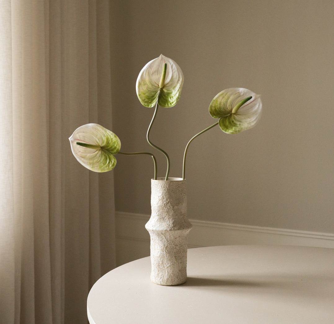 Light Green Anthurium Single Flower