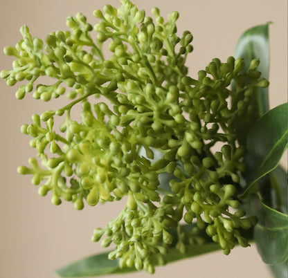 Skimmia Berry Branch Single Flower