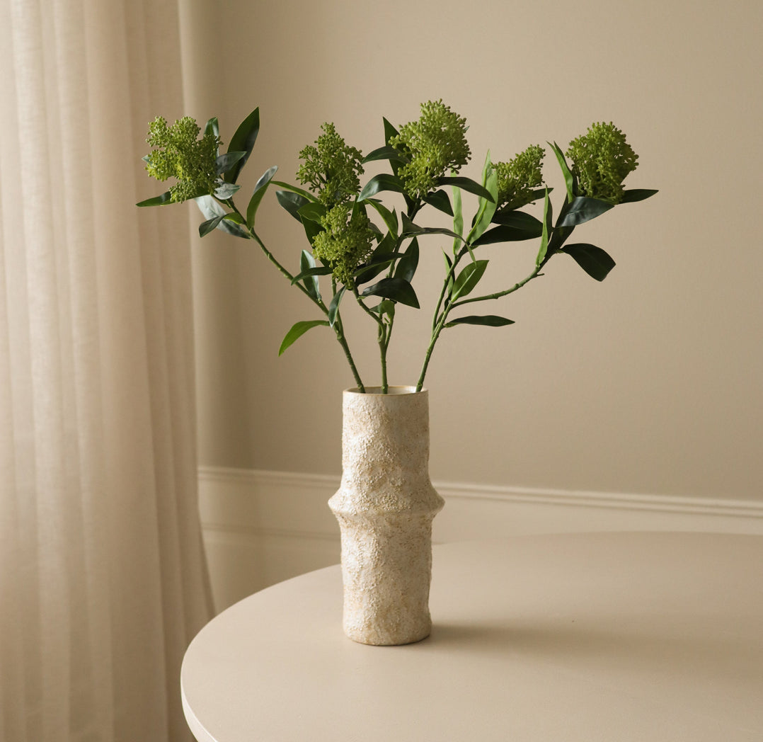 Skimmia Berry Branch Single Flower