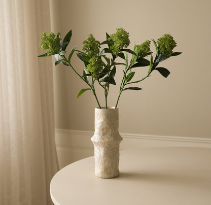Skimmia Berry Branch Single Flower
