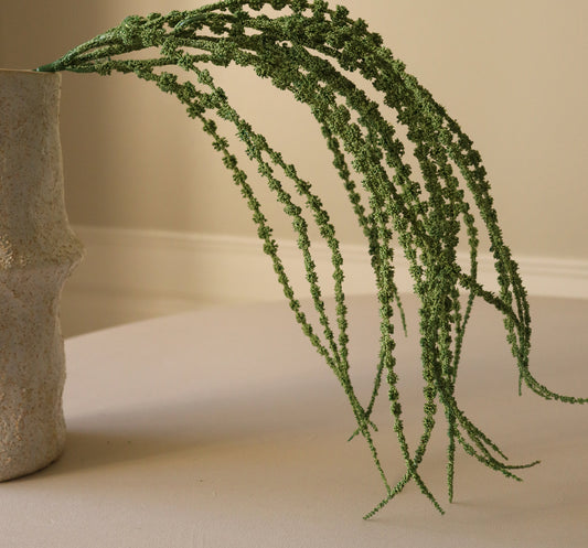 Amaranthus Caudatus Dreadlocks Single Flower