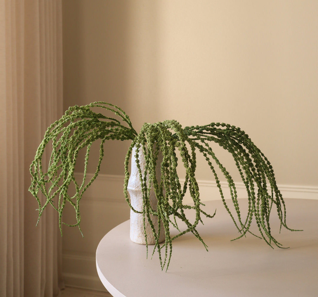 Amaranthus Caudatus Dreadlocks Single Flower