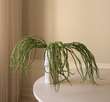 Amaranthus Caudatus Dreadlocks Single Flower
