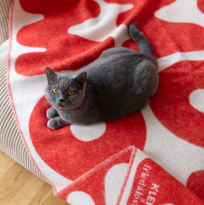 Klekks No. 11 Wool Blanket
