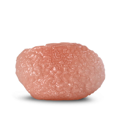 Coral Vase L