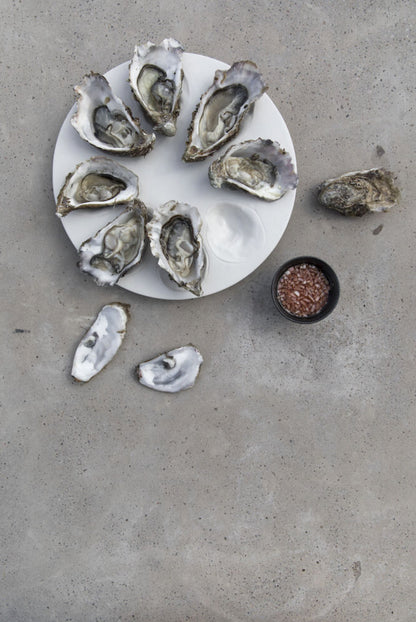 White Oyster Tray