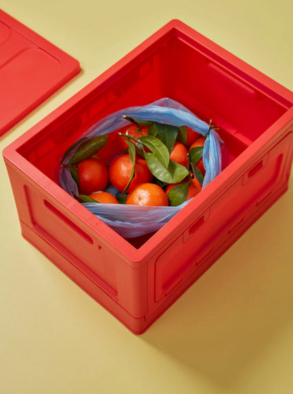 Box Large Red