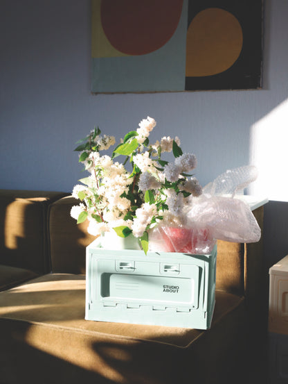 Box Medium Mint