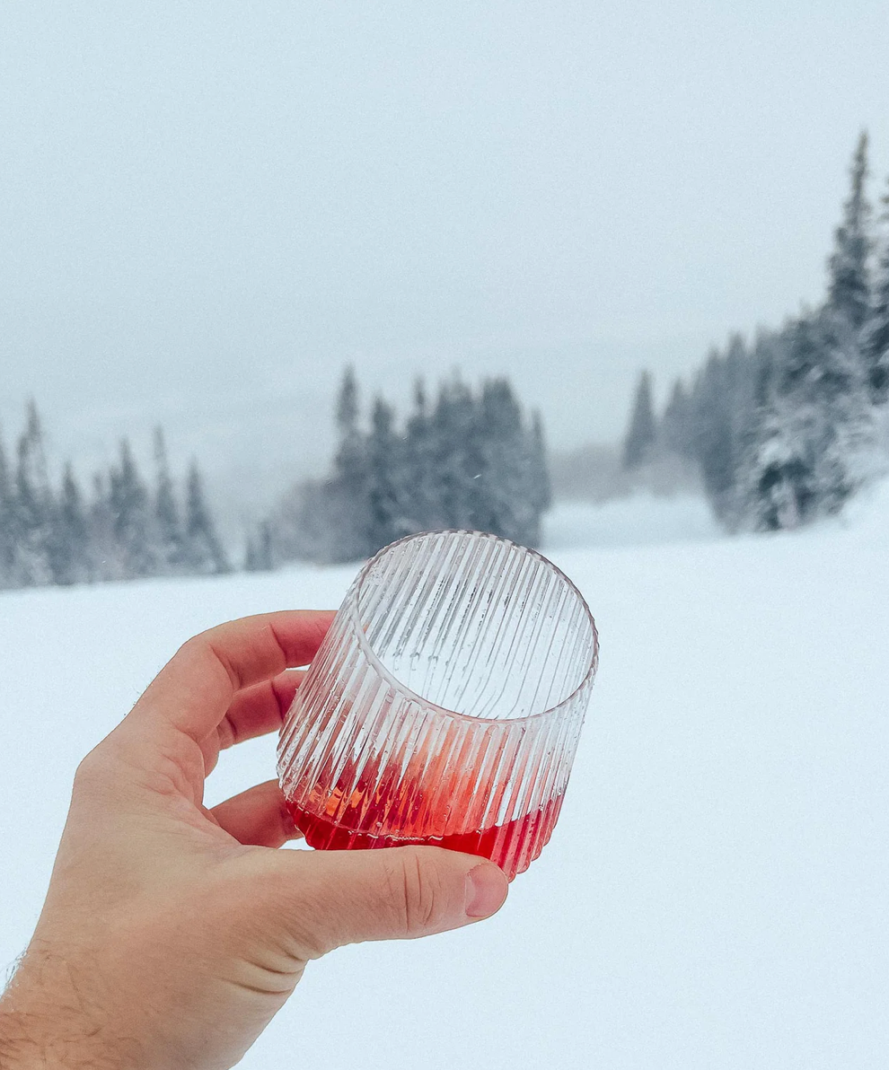 Djuce The Unbreakable Wine Glass 4-p