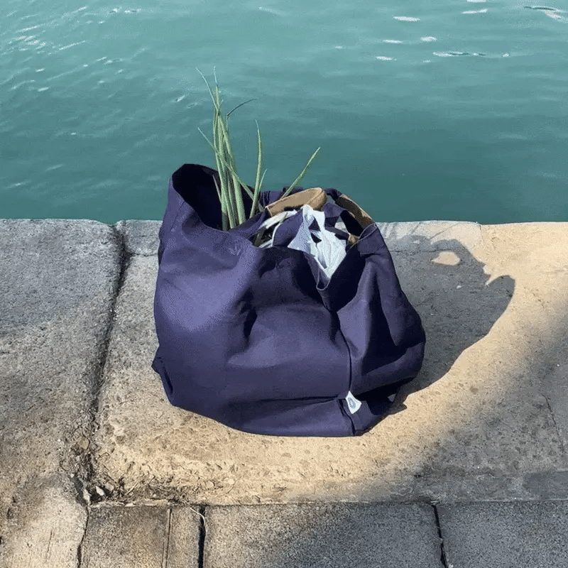 Veark CarryAll Bag