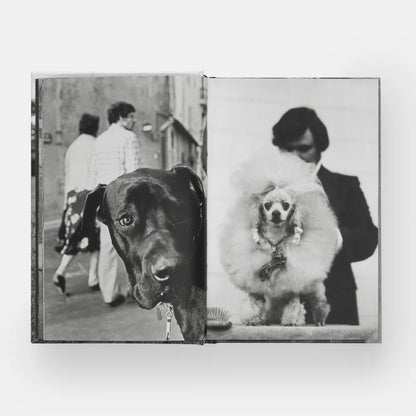 DogDogs Book
